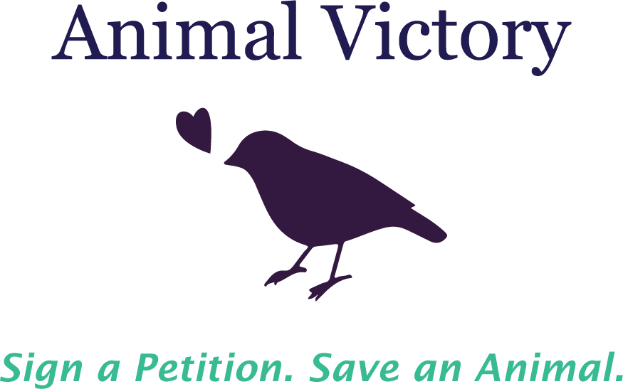 animal-victory